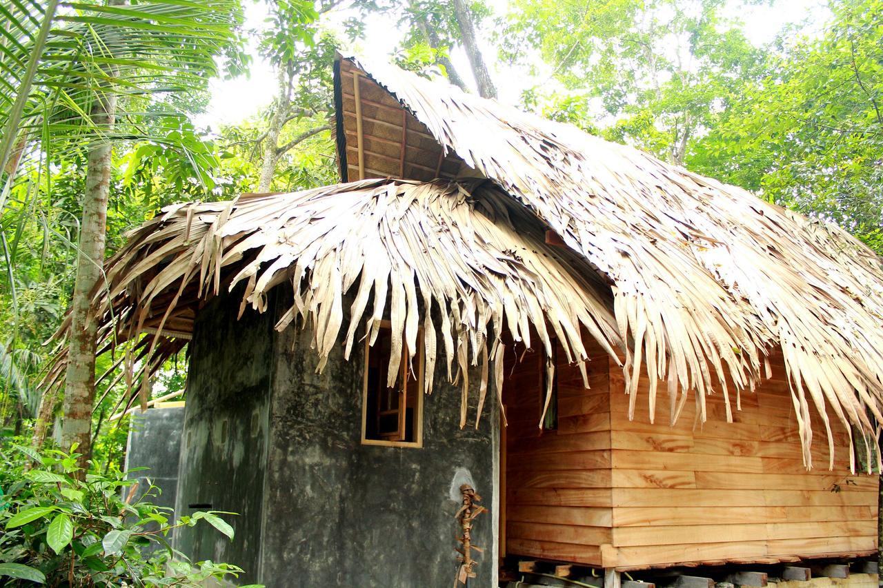 Bedda Eco Cottages Deniyaya Εξωτερικό φωτογραφία