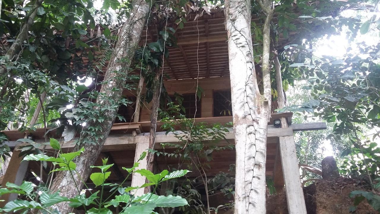 Bedda Eco Cottages Deniyaya Εξωτερικό φωτογραφία